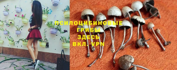 трава Бронницы
