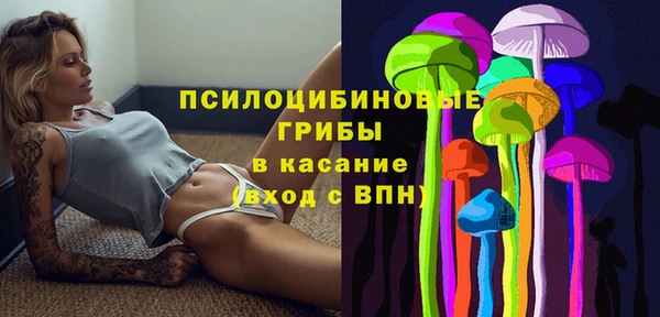 a pvp Бородино
