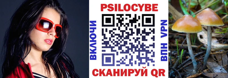 Галлюциногенные грибы Psilocybine cubensis  Купить  Струнино 